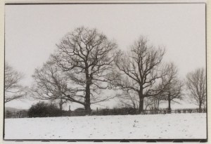 6B9891FC-45F1-4C4D-82DA-274957E108A7